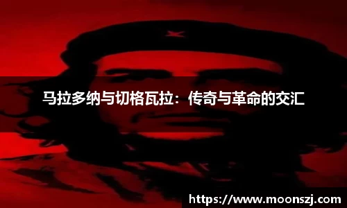 VSport官网入口vsport体育在线官网
