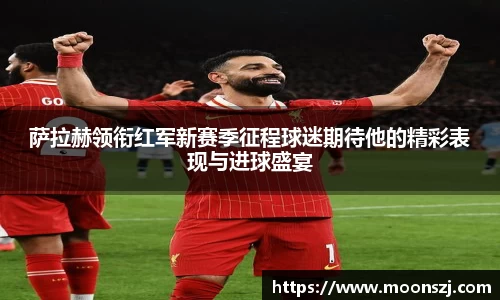 VSport官网入口vsport体育在线官网