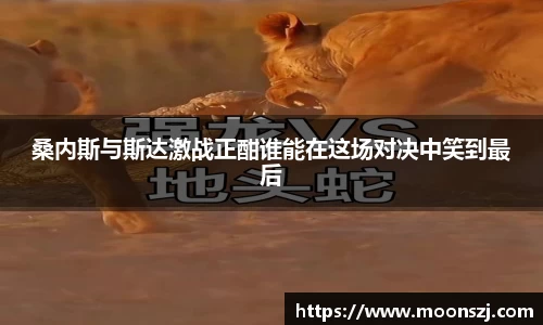 VSport官网入口vsport体育在线官网