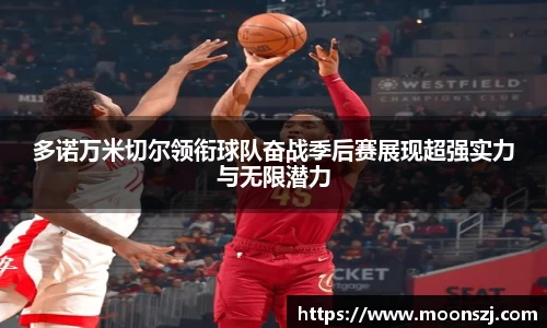 VSport官网入口vsport体育在线官网
