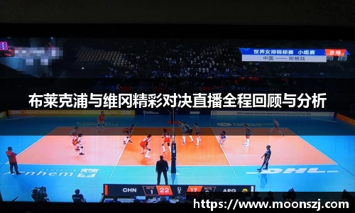 VSport官网入口vsport体育在线官网
