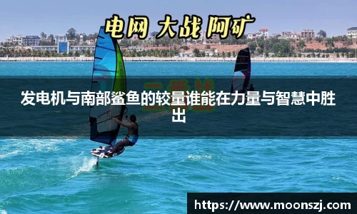 发电机与南部鲨鱼的较量谁能在力量与智慧中胜出