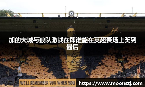 VSport官网入口vsport体育在线官网