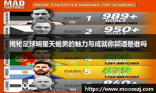 VSport官网入口vsport体育在线官网